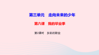 九年级道德与法治下册第三单元走向未来的少年第六课我的毕业季第2框多彩的职业作业课件 人教版