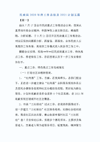 民政局2020年终工作总结及2021计划五篇