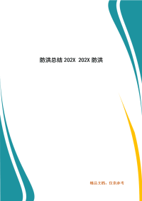 防洪总结202X 202X防洪