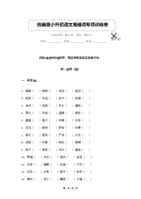 板块5  部编版小升初语文易错词专项复习试卷（答案位于文档末） (1)