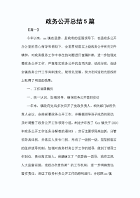 政务公开总结5篇