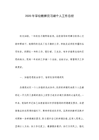 2020年学校教师见习期个人工作总结