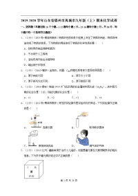 2019-2020学年山东省德州市禹城市九年级（上）期末化学试卷