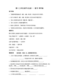 第12章 化学与生活 复习导学案