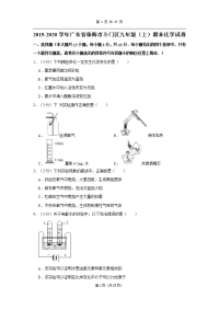 2019-2020学年广东省珠海市斗门区九年级（上）期末化学试卷