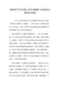 领导班子学习在第三次中央新疆工作座谈会心得体会及收获