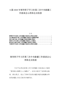 6篇2020年领导班子学习在第三次中央新疆工作座谈会心得体会及收获