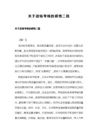 关于政绩考核的感悟二篇