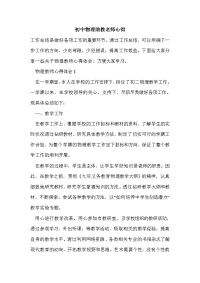 初中物理助教老师心得