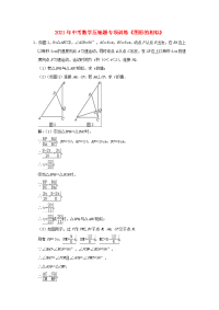 2021年中考数学压轴题专项训练  图形的相似（含解析）