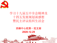 学习十九届五中全会精神及十四五发展规划谈感想暨民主评议组织生活会