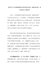 党员学习中央和国家机关青年联合会第一届委员会第一次全体会议心得体会