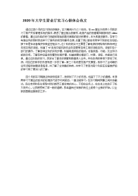 2020年大学生营业厅实习心得体会范文