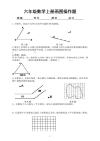 小学数学六年级上册期末复习画图操作专项试题