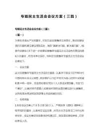 专题民主生活会会议方案（三篇）