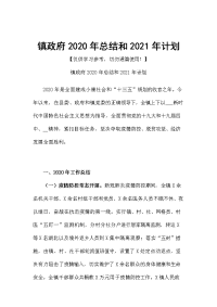 镇政府2020年总结和2021年计划