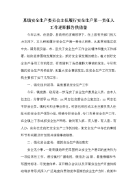 某镇安全生产委员会主任履行安全生产第一责任人工作述职报告供借鉴