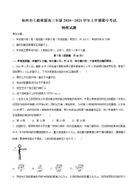 河北省沧州市七校联盟2021届高三物理上学期期中试题（Word版附答案）