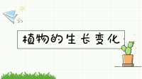 四年级下册科学课件  1 种子长出了根   教科版   (共16张PPT)