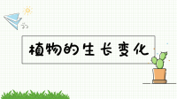 四年级下册科学课件   1种子里孕育着新生命   教科版   (共13张PPT)