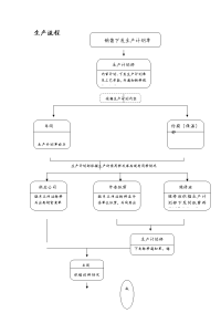 公司生产流程