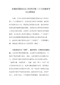 在做好国家安全工作举行第二十六次集体学习心得体会