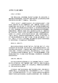 大学生个人实习报告