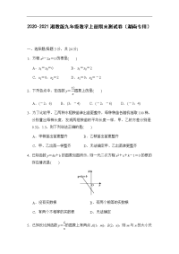 2020-2021学年湘教版九年级数学上册期末测试卷（湖南专用）