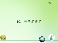 五年级科学下册课件-10种子发芽了-青岛版(共15张PPT)