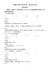 中考卷-2020中考数学试卷（解析版） (2)