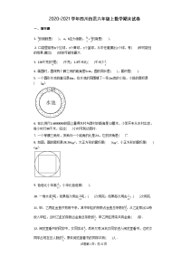 2020-2021学年四川省自贡市六年级上数学期末试卷  含答案