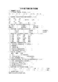 人教部编版新课标语文六年级下学期总复习试 (4)