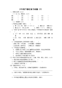 人教部编版新课标语文六年级下学期总复习试 (2)