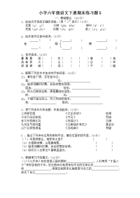 人教部编版新课标语文六年级下学期期末测试卷5