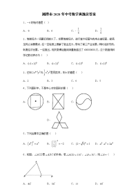 湘潭市2020年中考数学真题及答案