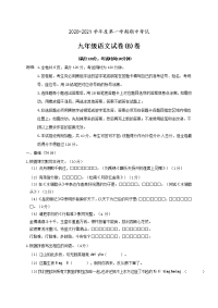 广东省高州市初中卓越联盟2021届九年级上学期期中考试语文（B卷）试题