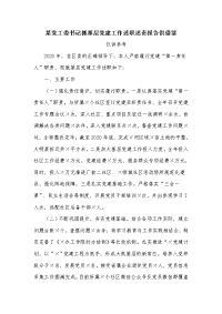 某党工委书记抓基层党建工作述职述责报告供借鉴