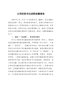 公司党委书记述职述廉报告