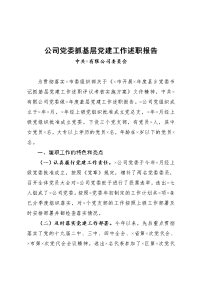 公司党委抓基层党建工作述职报告