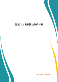 精选党组个人民族团结剖析材料