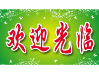 中考必备化学专题复习习题课件第六部分专题四化学专题复习习题课件实验探究题