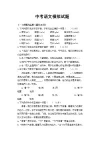 中考语文模拟试题