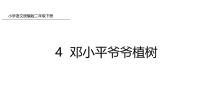 二年级下册语文课件-4 邓小平爷爷植树-人教部编版(共28张PPT)