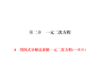 北师大版数学九年级上册同步练习课件-第2章 一元二次方程-第2章 4 一节一练用印式分解法求解一元一次方程