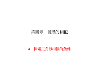 北师大版数学九年级上册同步练习课件-第4章 图形的相似-第4章 4 一节一练探索三角形相似的条件