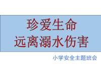 班主任资料：防溺水主题班会