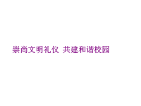 班主任资料：崇尚文明礼仪，共建和谐校园