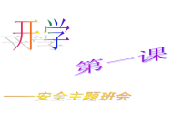 班主任资料：安全主题班会