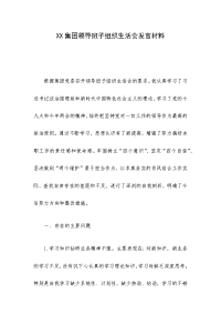 XX集团领导班子组织生活会发言材料