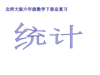 北师大版六年级数学下册总复习《统计》+《数与代数》，精品资料